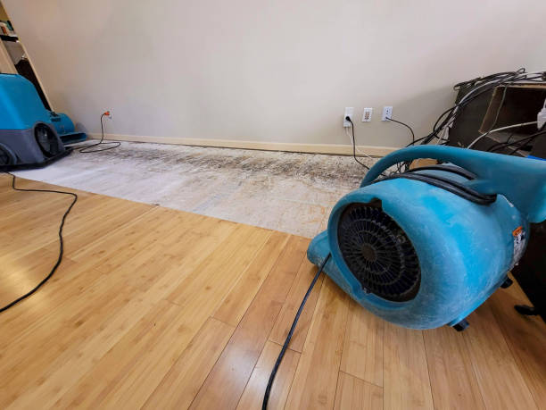 Professional Water Extraction technician working in Hinckley, UT